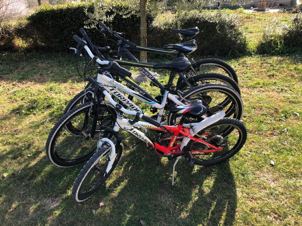 Apartment Madis & Free Bikes Pula Exterior foto